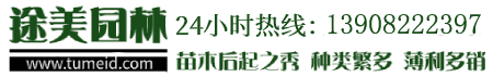 灌木樹苗-綠化苗木-常綠喬木-價(jià)格/批發(fā)/基地 - 四川成都途美園林